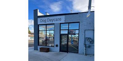 AlphaBEST @ Lake Dallas ? Lake Dallas daycare Lake Dallas Texas