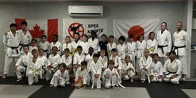 Apex Karate Academy daycare El Paso Texas
