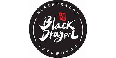 Black Dragon Taekwondo daycare Katy Texas