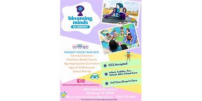 Blooming Minds Academy daycare Edinburg Texas
