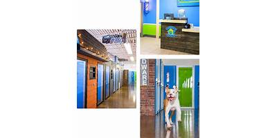 Brilliant Stars Academy daycare Little Elm Texas