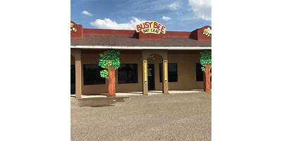Busy Bee Learning Center daycare Palmview Texas