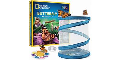 Caterpillars to Butterflies Learning Center daycare Laredo Texas