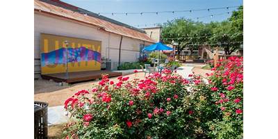 Dignora Daycare LLC daycare Pflugerville Texas
