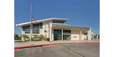 Dione Lewis daycare Pflugerville Texas