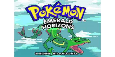 Emerald Horizons LLC daycare Houston Texas