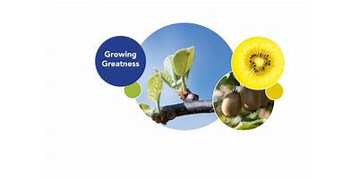 Growing Greatness Academy daycare Houston Texas