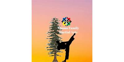 Gtx Family Martial Arts daycare Jarrell Texas