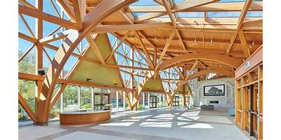 Harvest Green Montessori School daycare Richmond Texas