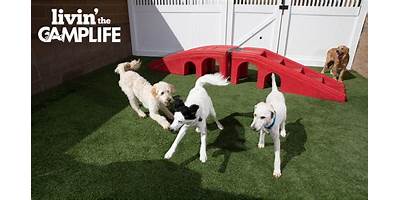 Kymla Montgomery daycare Dallas Texas