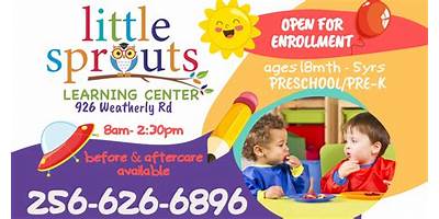 Lil' Peas & Sprouts Learning Center, LLC daycare San Antonio Texas