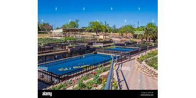 Lindsay's Lillypads daycare San Antonio Texas