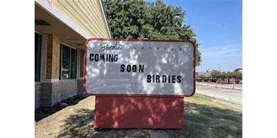 Little Birdies Child Care daycare Dallas Texas