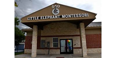 Little Elephant Montessori Academy daycare Little Elm Texas