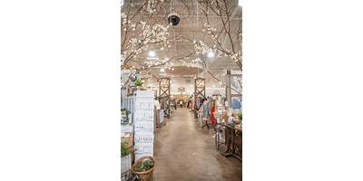 Little Wonders of Baybrook Baptist daycare Friendswood Texas