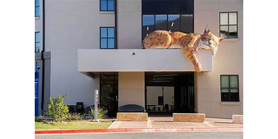 Logan Hagerman daycare Cibolo Texas