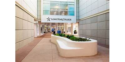 Lonestar Littles Star LLC daycare Katy Texas