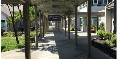 PISD Springhill Elementary Extended Day Program daycare Pflugerville Texas