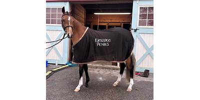 Ponies Playhouse daycare Shallowater Texas