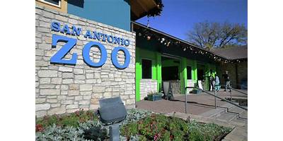 San Antonio Zoo School daycare San Antonio Texas