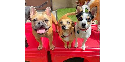 Stephanies Angels daycare San Antonio Texas