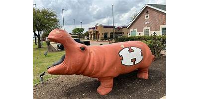 The Little Hippo daycare Hutto Texas