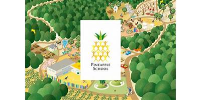 The Pineapple School daycare San Antonio Texas