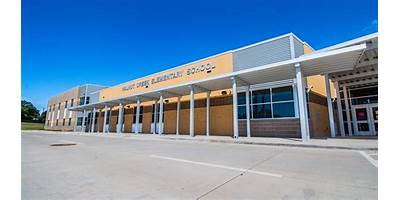 YMCA at Walnut Creek Elementary daycare Azle Texas