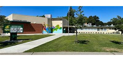 YPW Spanish Elementary School daycare West Lake Hills Texas