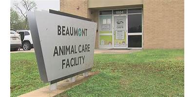 Zippity Zebras Licensed Child Care Center daycare Beaumont Texas